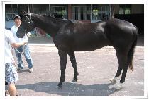 ����ʽ� (SAMGWAN PILSEUNG) ����