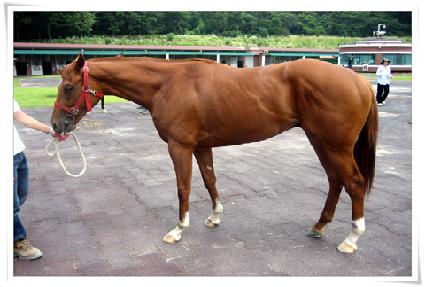 ����Ʈ���� ����