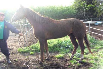 ��õ���� ����