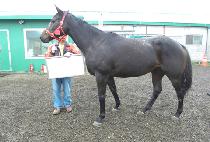 ���̾Ƹ����� (DIAMOND DE LAGO) ����