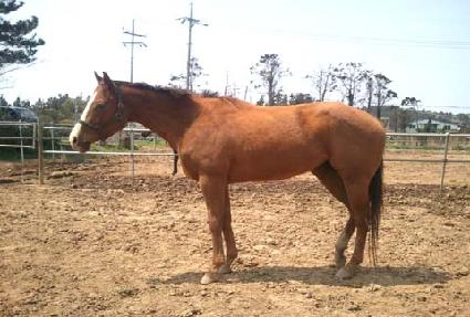 ��°�ž ����