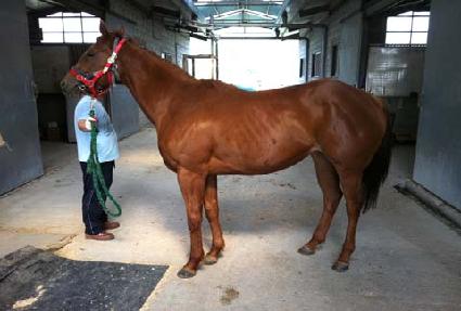 �������� ����