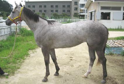 ���̾�ũ��¡ ����