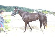 ���鷻�׷��̽� (MADELEINE GRACE) ����