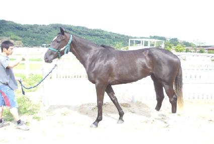 ���鷻�׷��̽� ����