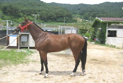 �������� ����