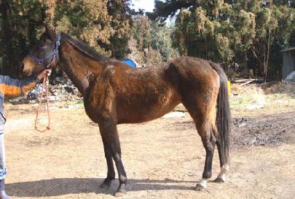 Ȧ������ ����