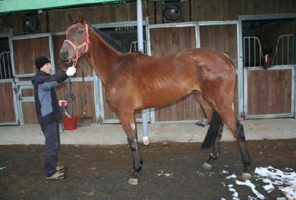 ���ܽ���Ʈ��Ʈ ����