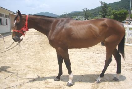 ������� ����