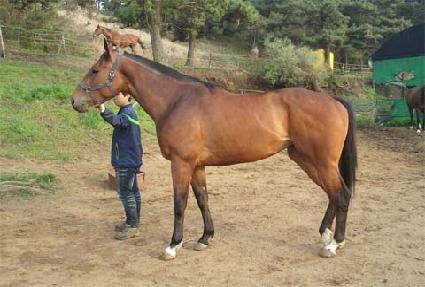 �ٸ��������� ����