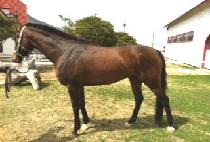 ������� (SEOUL GONGJU) ����