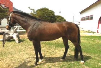 ������� ����