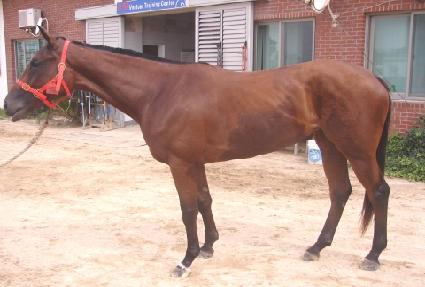 �����۽�Ʈ ����