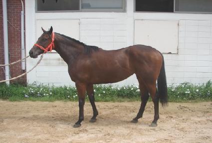 ���� ����