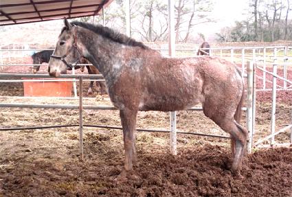 ���淹�Ž� ����