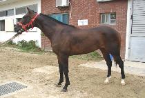 ���̹������� (HAVEN��S RIDGE) ����