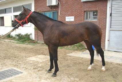 ���̹������� ����