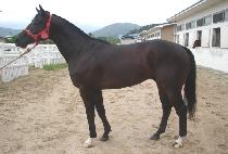 ����ư�Ŀ� (PAYTON POWER) ����