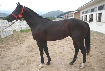 ����ư�Ŀ� ����