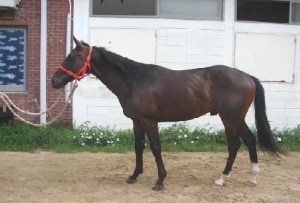 ���è�� ����