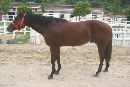 ����� ����