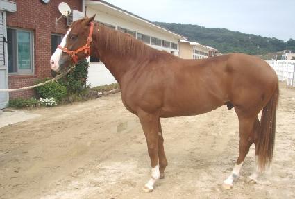 ĸƾ�� ����