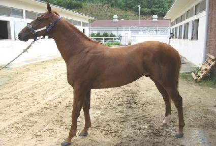 ����ָ� ����