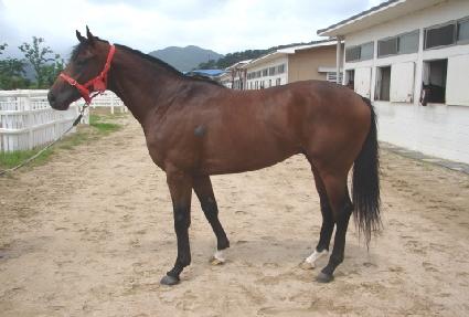 ���� ����