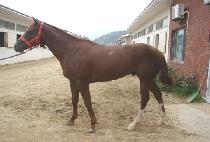 �ʵ�Ʈ���� (FIELD TRIPPING) ����