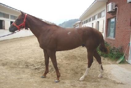 �ʵ�Ʈ���� ����