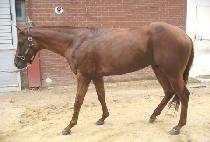 �̽��͸����� (MYSTERY BOY) ����