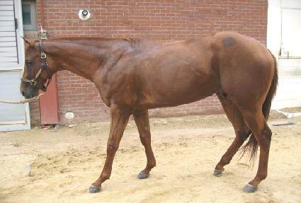 �̽��͸����� ����