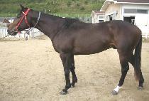 ����Ʈ���ڵ� (BEST RECORD) ����