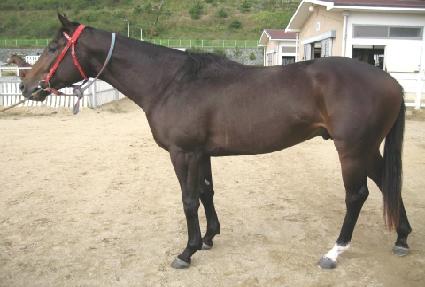 ����Ʈ���ڵ� ����