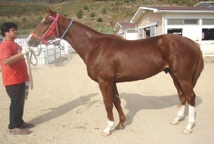 ����̽ú�귯 ����