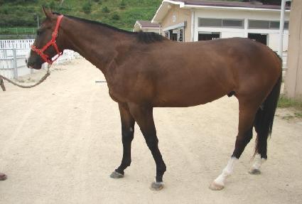 �ǽ����귰 ����