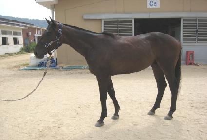 �������ҷ� ����