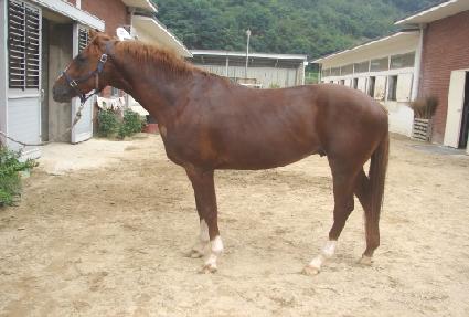 �ູ���� ����