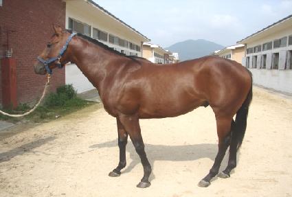 ������ ����