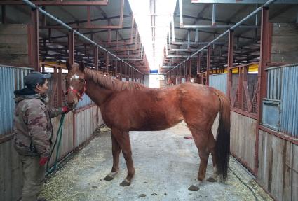 Ž������ ����