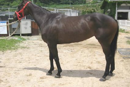 ������Ȥ ����