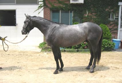 ��ħ������ ����