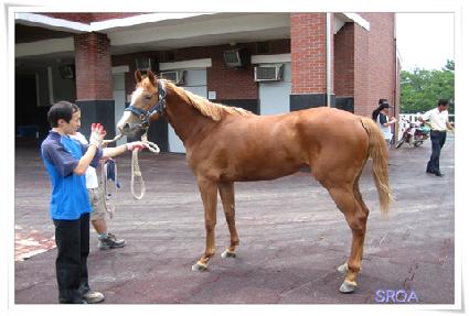 ���е���ī ����