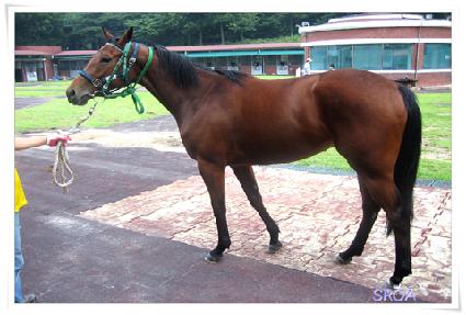 �ݺ������ ����