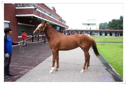 �ʽ��ڸ��� ����