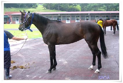 �������� ����