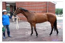 ������Ҵ� (BLUE BAND SONIC) ����