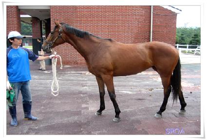 ������Ҵ� ����