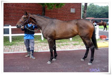 ��ȣ���� ����