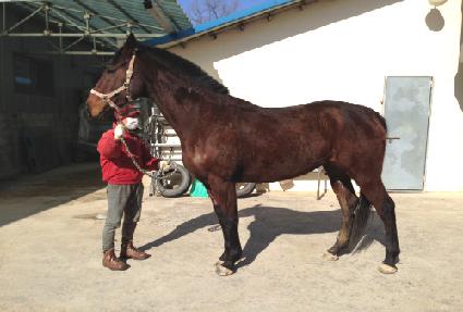 Ư��ȯ�� ����